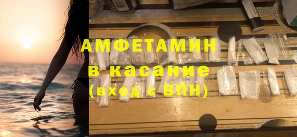 мдпв Каменка