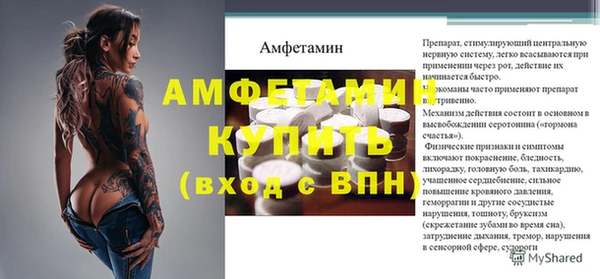 мдпв Каменка
