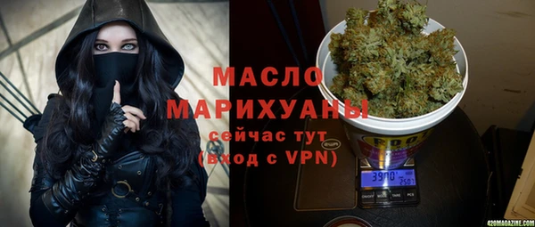 мдпв Каменка