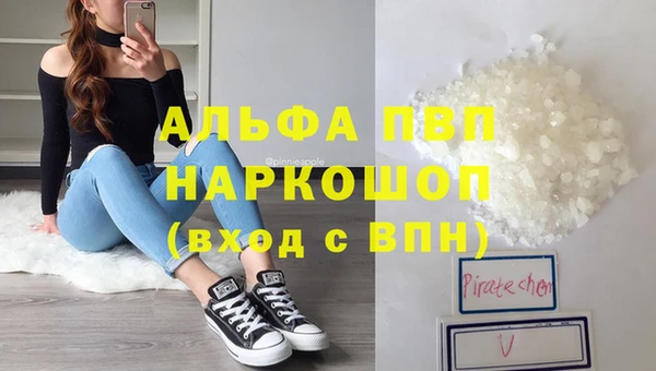 мдпв Каменка