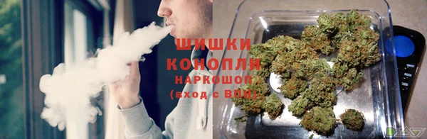 соль ск Каменногорск
