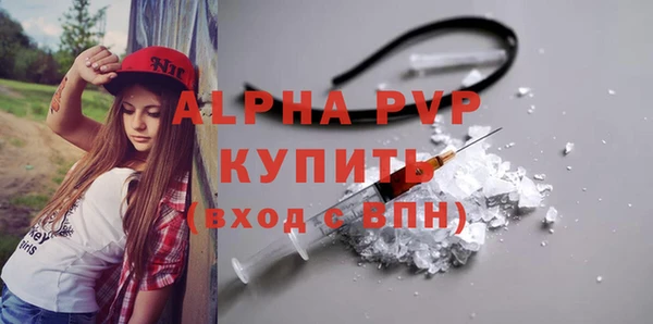 мдпв Каменка