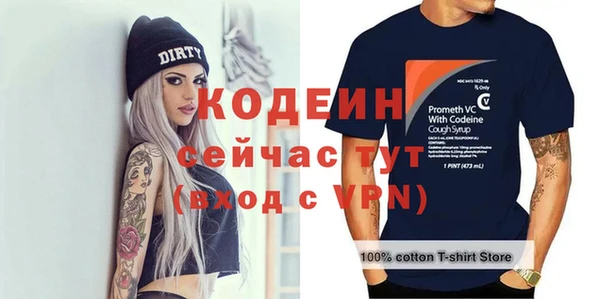 мдпв Каменка