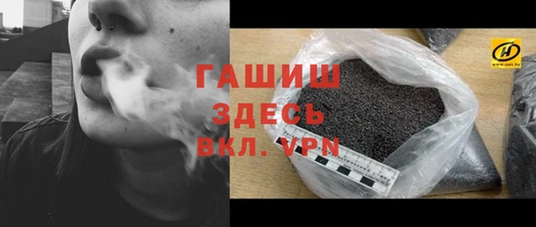 мдпв Каменка