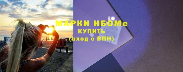 мдпв Каменка