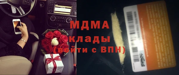 мдпв Каменка