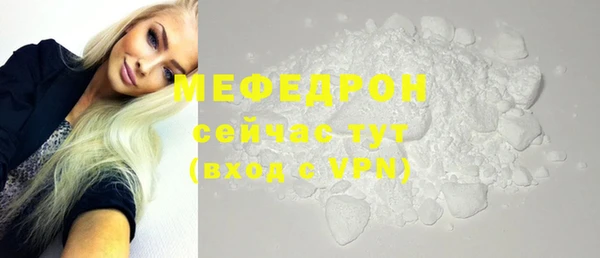 мдпв Каменка