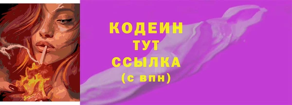 соль ск Каменногорск