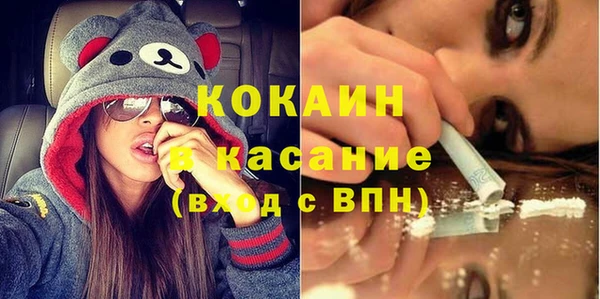 мдпв Каменка