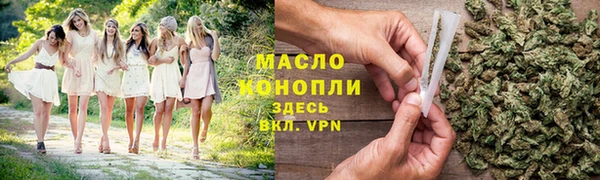 мдпв Каменка